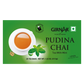 Girnar Black Tea Bags - Pudina